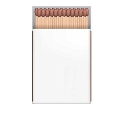 Poster - Box matches icon. Realistic illustration of box matches vector icon for web design isolated on white background