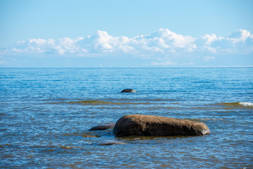 rock covered beach in countryside in Latvia, large rocks in water