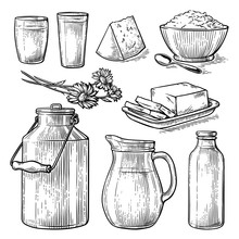 Collection Items Dairy Products Drawing Sketch Glass Milk Bottle Iron Can Cup Cheese Flowers Crumbly Curd Vector Illustration