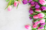 Pink and violet tulip flowers on light gray background with copy space