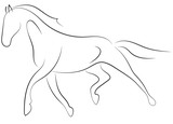 Fototapeta Konie - Black line horse on white background. Running horse sketch style. Vector graphic icon animal.