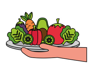 Canvas Print - hand holding vegetables on dish healthy food