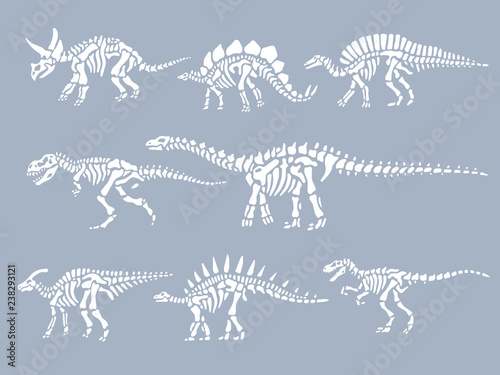 Photo Set of dinosaurs fossils skeletons. Vector illustration