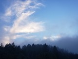 Fototapeta Tęcza - clouds, fog, and treetops