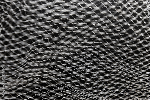 Fotografie, Obraz Abstract black and white mesh texture with selective focus