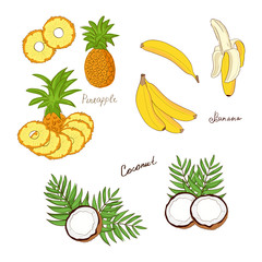 Canvas Print - Banana, coconut, pineapple. Set. Doodle, sketch