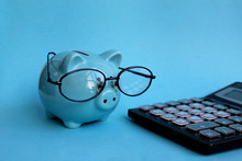 Sinaja Piggy Bank Wearing Glasses Stands By A Calculator