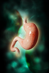 Wall Mural - 3d rendered stomach in colour background