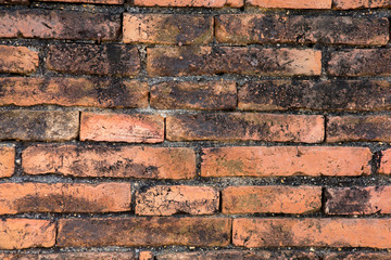 Wall Mural - old red brick wall background