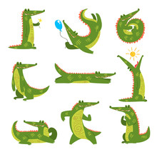Friendly Crocodile In Different Poses Set, Funny Predator Cartoon Character Vector Illustration On A White Background