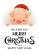 Cute pig in Santa hat stands behind signboard advertisement banner with text Merry Christmas and Happy New Year