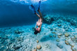 Woman free diver in bikini swim to deep in the tropical blue ocean