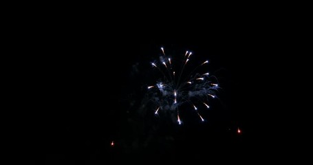 Poster - celebration firework exploding and glow over dark background with dark and grain processed