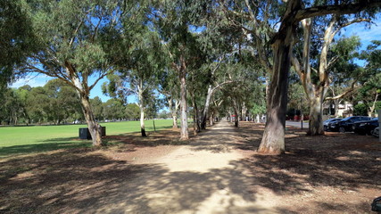 Canvas Print - adelaide parks, australia