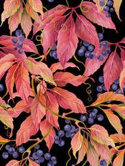 Wild grape with berries and leaves. Seamless background pattern version 2