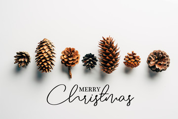 Wall Mural - top view of pine cones arranged on white backdrop with 