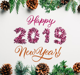 Wall Mural - flat lay with 2019 year sign made of pink confetti, pine tree branches and cones on white background