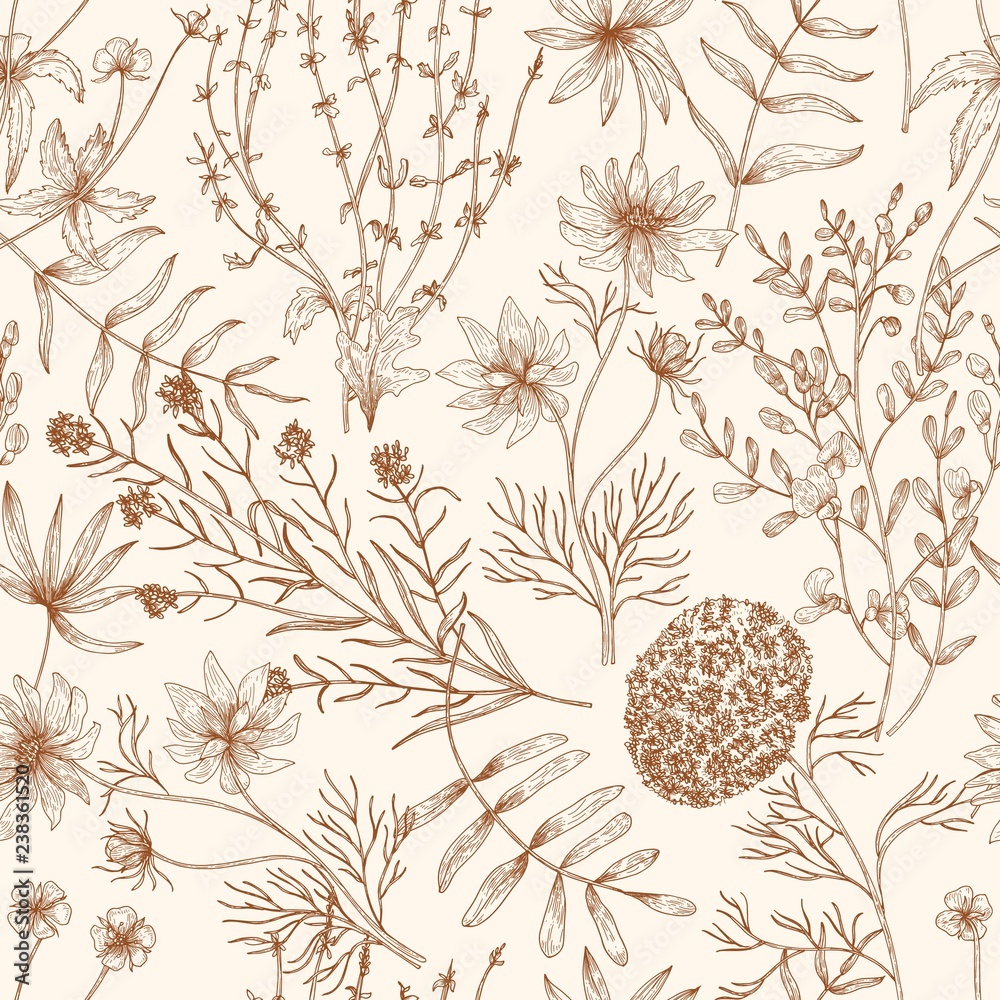 Monochrome seamless pattern with wild blooming meadow flowers and herbs ...