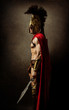 Portrait of a spartan soldier