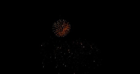 Poster - Celebration firework exploding and glow over dark background with dark and grain processed