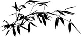 Fototapeta Sypialnia - one black long bamboo isolated branch