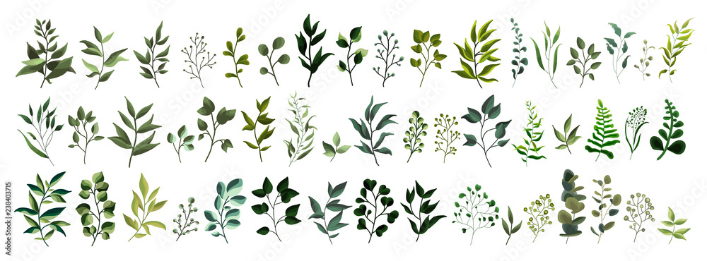 Collection of greenery leaf plant forest herbs tropical leaves - obrazy, fototapety, plakaty 