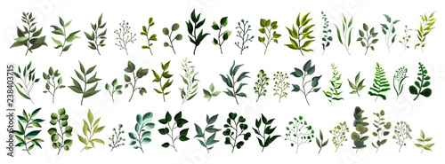 Dekoracja na wymiar  zbior-zieleni-lisci-roslin-lesnych-ziol-tropikalnych-lisci