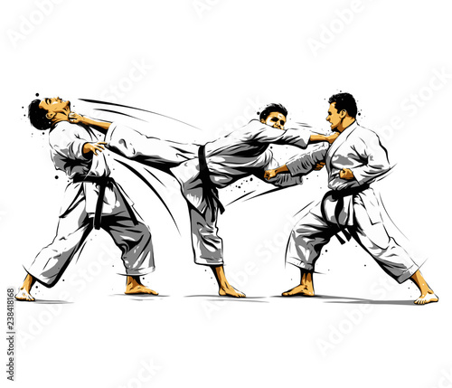 Dekoracja na wymiar  akcja-karate-9