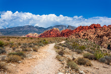 Hiking Trail At Red Rock Canyon National Conservation Area In Nevada