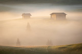 Fototapeta Na sufit - In the fog, Alpe di Siusi, Dolomites, Italy