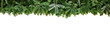 christmas garland super wide panorama banner with undecorated pure green natural fir branches isolated on white background