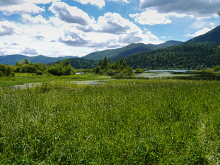 Sticker - summer landscape in southern europe