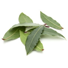 Wall Mural - Aromatic bay leaves