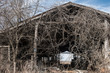 © Cavan Images - View of abandoned wooden barn at farm