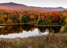 Fall Foliage In Vermont