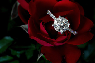 1.5 Carat Diamond Ring On Red Rose And Green Stem Leaves