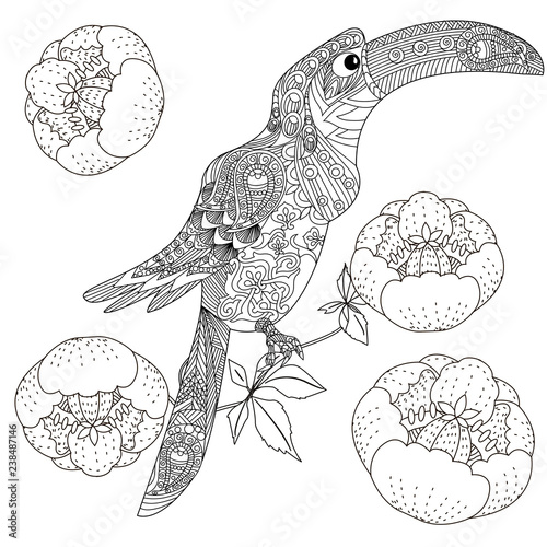 Coloring Pages Colouring Pictures With Bird And Flowers