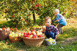© oksix - Little girl and boy play in apple tree orchard