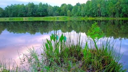 Poster - Enjoy the scenic sunset sky, reflected in waters of the forest lake (Lisove Ozero), Morshyn, Ukraine.