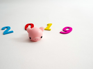 Piggy colorful wooden number 2019 Saving concept