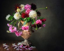 Still Life With Beautiful Autumn Bouquet  Of Dahlia