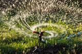 Fototapeta Łazienka - Splashing water to water the lawn as a background
