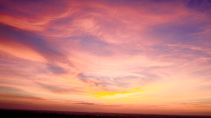 Wall Mural - Celery in the sky
