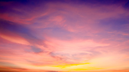 Wall Mural - Celery in the sky