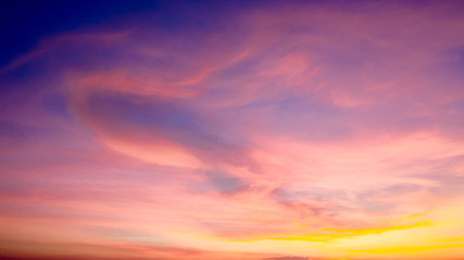 Wall Mural - Celery in the sky