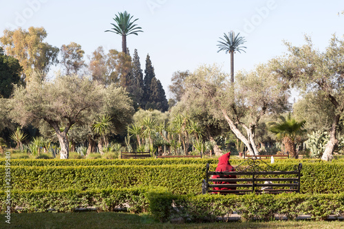 Zdjęcie XXL Parc El Harti w Marakeszu w Maroku