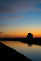 Wall Mural - lone tree near a river with bright twilight colors in the sky