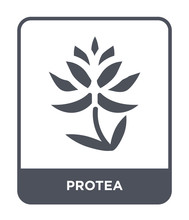 Protea Icon Vector
