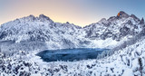 Fototapeta  - Winter dawn in mountains