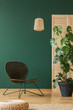 © Photographee.eu - Empty green wall of elegant living room interior with wicker stylish armchair and rattan chandelier, real photo with copy space and monster plant in black pot